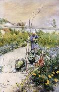 Carl Larsson, IN Kokstradgarden